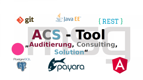 Towards entry "AMOS Project: Audit-Tool for Software Projects with msg systems"