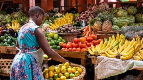 Towards entry "MADE Winter 2023/24 Projects: Analyzing the Correlation Between Temperature Changes and Food Price Inflation in Selected African Countries"