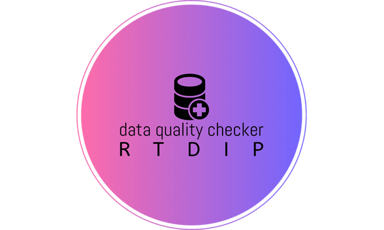 Results of the RTDIP Data Quality Checker Project (Video and Report, AMOS Winter 2024/25)